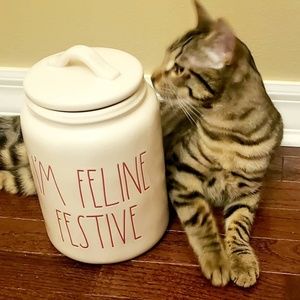 Rae Dunn I'm Feline Festive canister